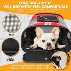 BargainJunkie Travel My Busy Dog Pet Carrier Backpack, Black