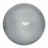 BargainJunkie Sharper Image 65cm Balance Pro Fitness Ball, Silver