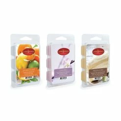 BargainJunkie Candle Warmers Pluggable Fragrance Warmer With 3 Wax Melts, Rainstorm