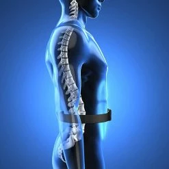 BargainJunkie New Body Buzz Abdominal Training System