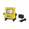 BargainJunkie Lighting & Bulbs Alert Stamping LFR10 Rainproof Rechargeable 10 Watt Flood Light
