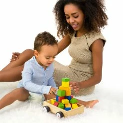 BargainJunkie Brybelly Take-A-Long Building Block Wagon New