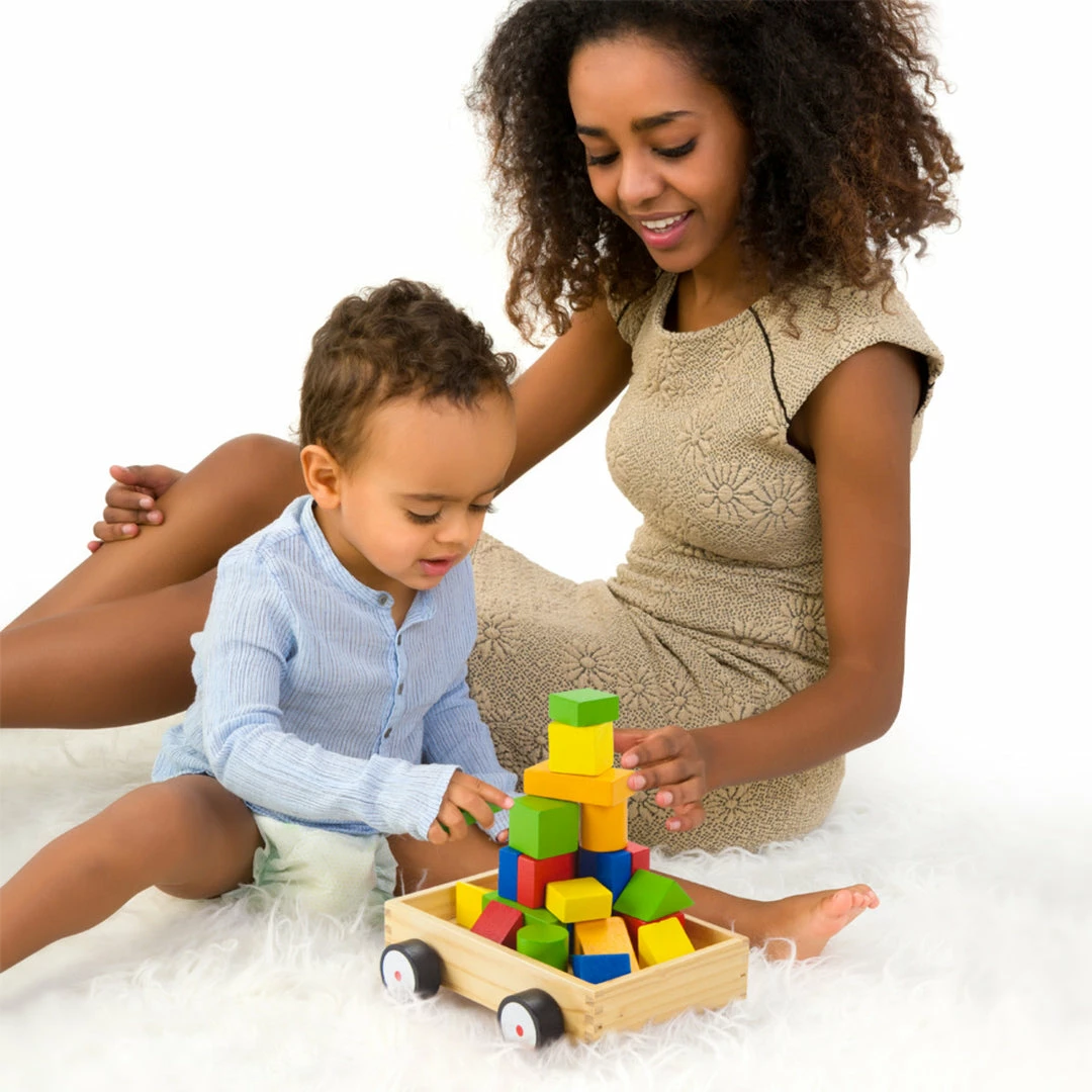 BargainJunkie Brybelly Take-A-Long Building Block Wagon New