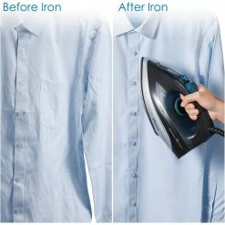 BargainJunkie New Decen 1400W Steam Iron