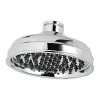 BargainJunkie Pfister Marielle Showerhead Polished Chrome