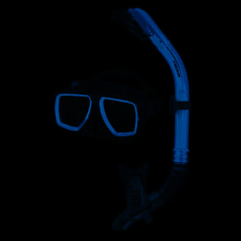 BargainJunkie HEAD Tarpon Mask And Barracuda Dry Snorkel Combo, Blue