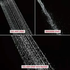 BargainJunkie Peerless Hand Shower/ Shower Head Combo Pack, Chrome, Refurbished