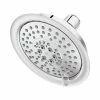 BargainJunkie Pfister 5 Spray Pattern Northcott Showerhead, Chrome