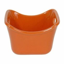 BargainJunkie Rachael Ray Stoneware Orange 10oz