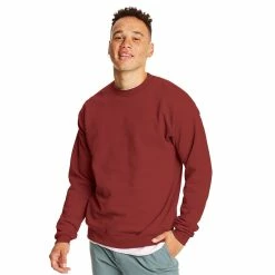 BargainJunkie Hanes ComfortBlend EcoSmart Crew Sweatshirt