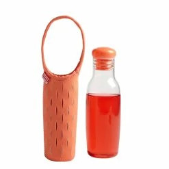 BargainJunkie Built New York 17oz Glass Water Bottle With Neoprene Tote, Coral