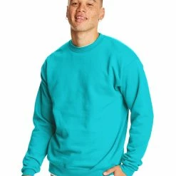 BargainJunkie Hanes ComfortBlend EcoSmart Crew Sweatshirt