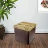 BargainJunkie Home & Garden Folding Storage Ottoman, Leopard Print W/Buttons