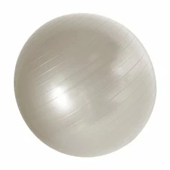 BargainJunkie New Bally Total Fitness Weighted Resistance Ball