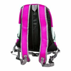 BargainJunkie Lifestyle Intellibrands Mesh Pet Backpack, Pink