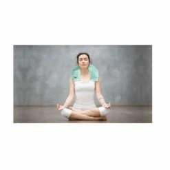 BargainJunkie New Sharper Image Massaging Aromatherapy Shoulder Wrap