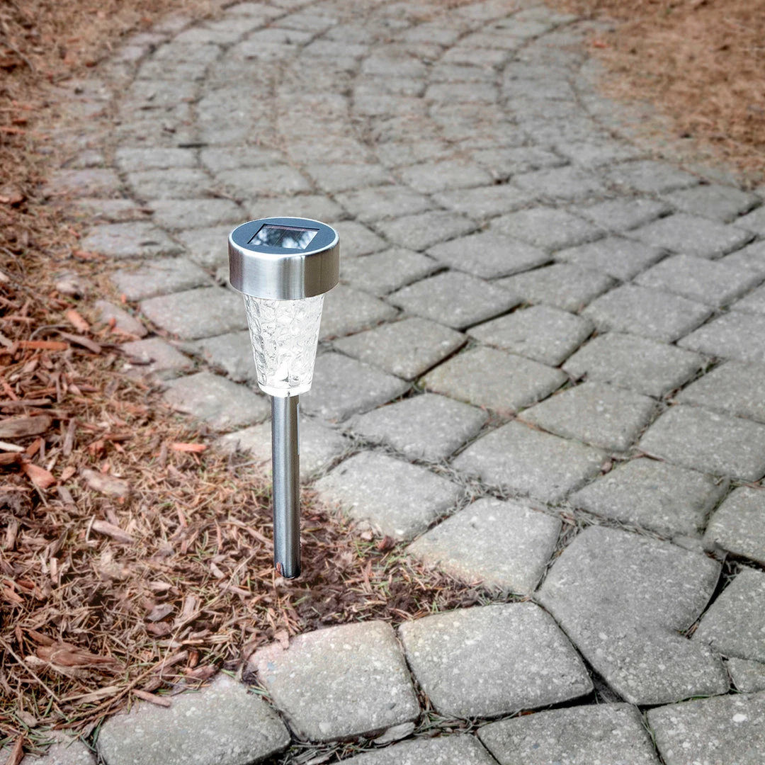 BargainJunkie Intellibrands Clear Glass Stainless Steel LED Solar Light Home & Garden