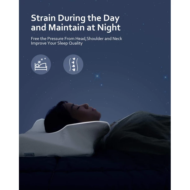 BargainJunkie Marnur Memory Foam Contour Pillow