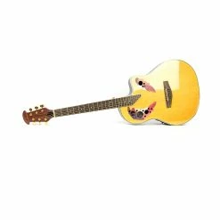 BargainJunkie Acoustic Guitar