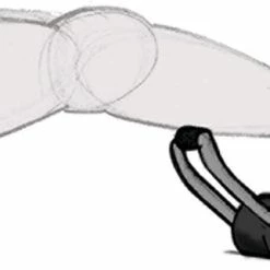 BargainJunkie Everlast Total Body Balance Roller Training And Recovery Tool New