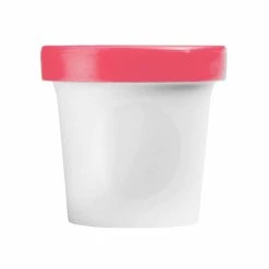 BargainJunkie New Chef'n Sweet Spot Ice Cream Storage Pint