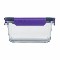 BargainJunkie Built New York Gourmet Glass Salad Bento 45 Oz With Stainless Steel Utensils