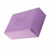BargainJunkie New Everlast Yoga Brick, Purple