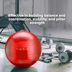 BargainJunkie New HemingWeigh Anti-Burst Fitness And Stability 45 Cm Ball, Red