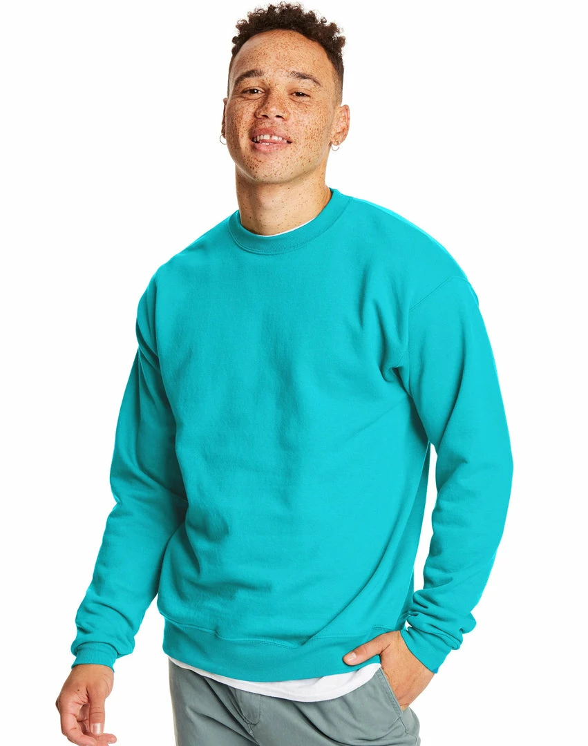 BargainJunkie Hanes ComfortBlend EcoSmart Crew Sweatshirt