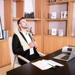 BargainJunkie Naipo 3D Rotating Massager With Heat New