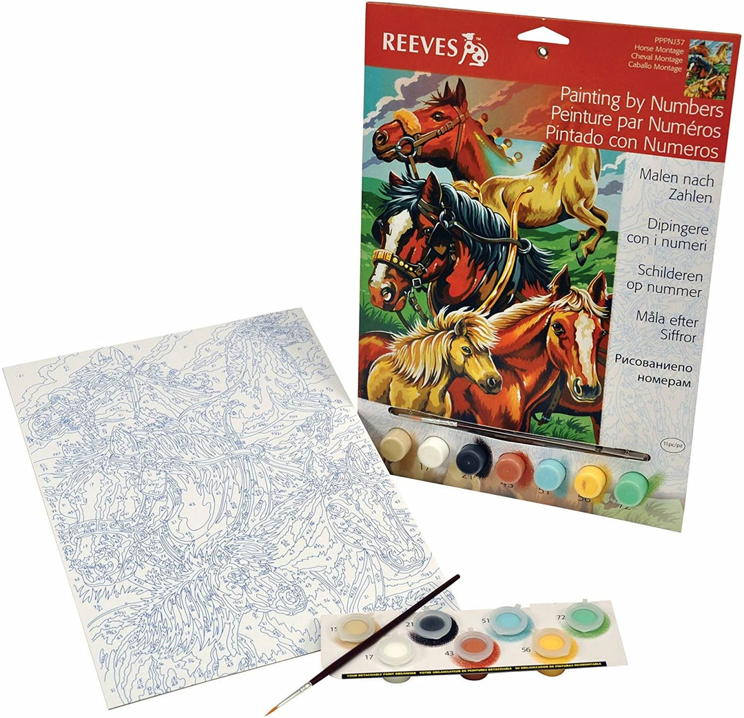 BargainJunkie Reeves Paint By Numbers Horses Kit
