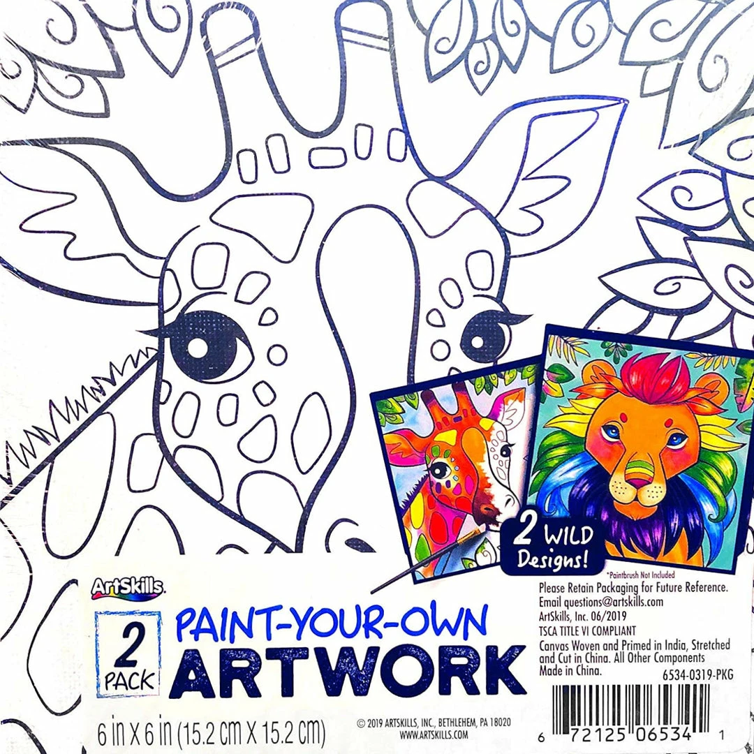 BargainJunkie Art Skills Paint Your Own Artwork Canvas, 2 Pack